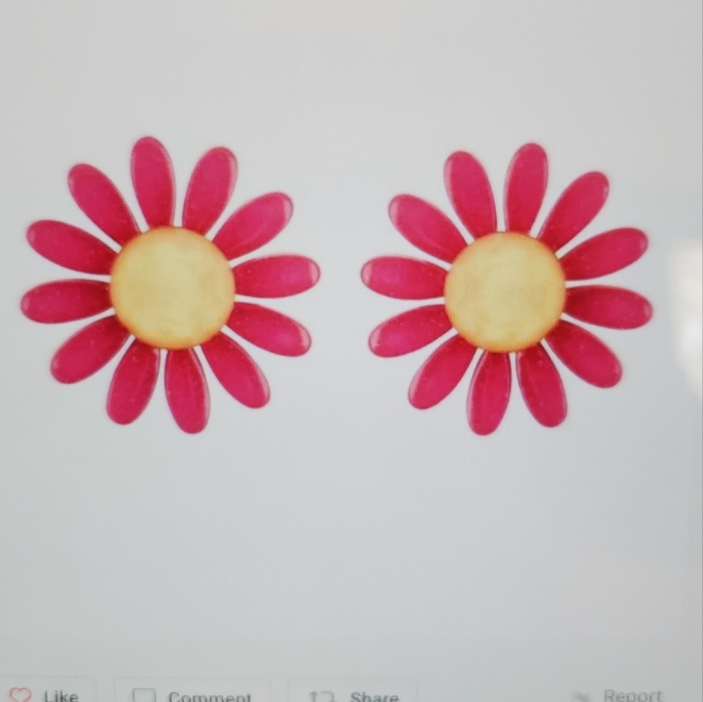 DIVAS LiMiTED Pink and Yellow Flower Earrings